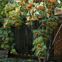 Воспоминания :: Валентина * Воспоминания :: Валентина *