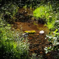 2 :: HART BAD 2 :: HART BAD