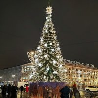 Пришла пора Елок :: Ирина Пришла пора Елок :: Ирина