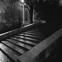 *** :: Игорь Протасов