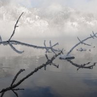 Природа дивногорья :: Сергей Герасимов