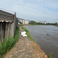 Наводнение 2023 года :: Екатерина Панова
