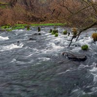 последний день ноября :: Виталий Емельянов