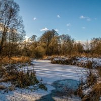 Подмосковный декабрь 8 :: Андрей Дворников