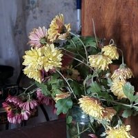 Последние хризантемы :: Наталья 