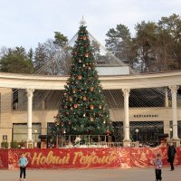 Кисловодск. Новогодняя ёлка. :: Александр Николаев Кисловодск. Новогодняя ёлка. :: Александр Николаев