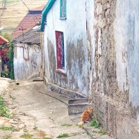 рыжий :: Всеволод рыжий :: Всеволод