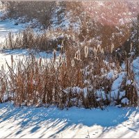 Про ноябрь... :: Aquarius - Сергей Про ноябрь... :: Aquarius - Сергей