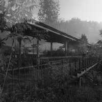 *** :: Сергей Сергеев