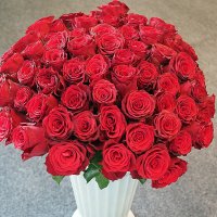 они на радость нам даны :: Олег Лукьянов