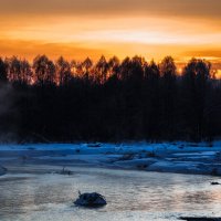 ... :: Жора Житников