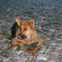 Каньон реки Мзымта Сочи :: Tata Wolf Каньон реки Мзымта Сочи :: Tata Wolf