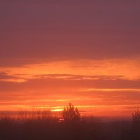 На закате :: Елена Семигина