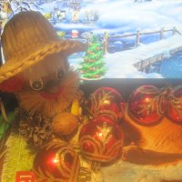 **** :: Елена Семигина