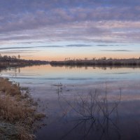 **** :: Елизавета .