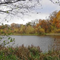 Озеро Лесное, Калининград :: Рита Симонова