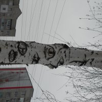 ......... :: Елена Шаламова