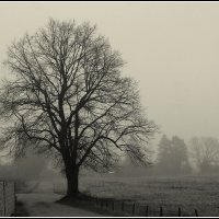 Такая зима :: Aleksandr Gal