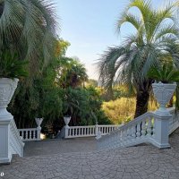 Адлер. Дендропарк "Южные культуры" :: Нина Бутко