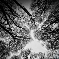 Над головой… :: Любовь 