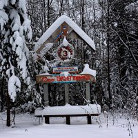 *** :: Александр 