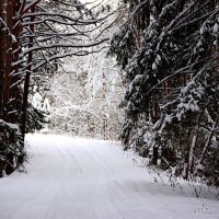 *** :: Александр 