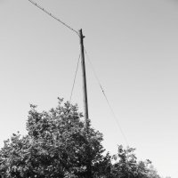 Фотография :: Денис Безногов