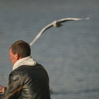 У городского озера... :: Николай Саржанов