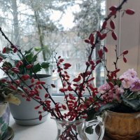 *** :: Валентина Береснева