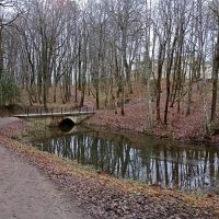 Декабрьские отражения :: Лия ☼