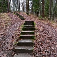 Всё выше и выше! :: Лия ☼