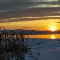 **** :: Алексей Мезенцев