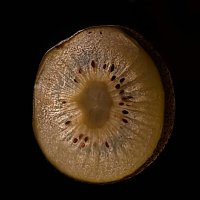 Киви :: Тамара Вебер