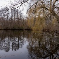 Январское безмолвие... :: Николай Гирш