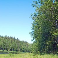 Берег. :: ВикТор Быстров