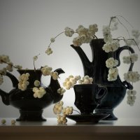 Декабрьский этюд :: Olenka 