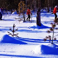 Январь..Юные на лыжне! :: Владимир 