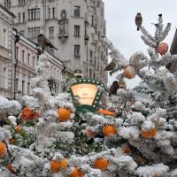 Апельсиновое настроение на Арбате :: ИРЭН@ .