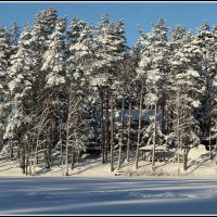 Зимняя идиллия :: Aleksandr Gal