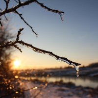 Зима. :: Александр. AVG100 --- Зима. :: Александр. AVG100 ---