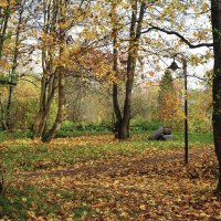 Ашманн парк, Калининград :: Рита Симонова