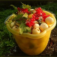 Яблочки и калина ... :: Валентина Надсон