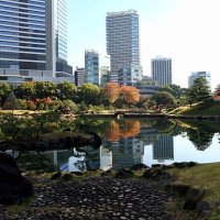 В саду осеннем :: Civetta ***