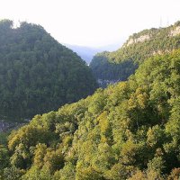 Ахштырское ущелье Сочи :: Tata Wolf