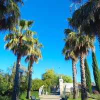 Адлер. Дендропарк "Южные культуры" :: Нина Бутко