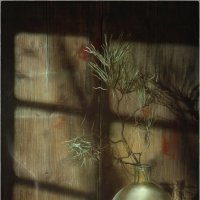 *** :: Oleg Rastorguev