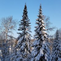 В гостях у сказки!!! :: Радмир Арсеньев