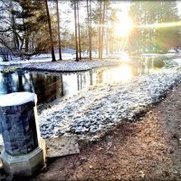 Начало зимы в парке, день солнечный ... :: Сергей 