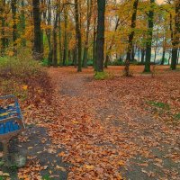 И ещё раз о прошедшей осени :: Андрей K.