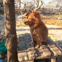 Наблюдательный пункт :: Наталья 